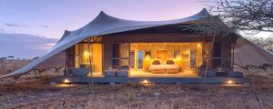 Dove Serengeti Camp, photo 2
