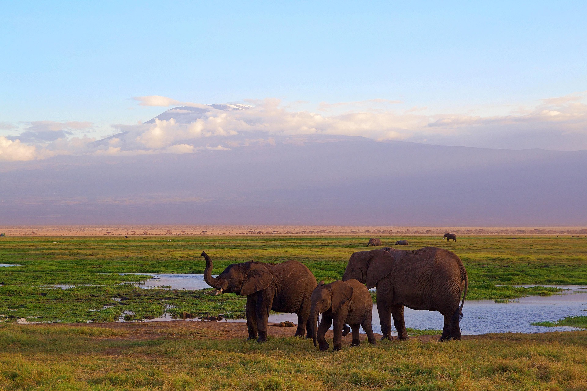 6-Day Luxury Amboseli, Lake Naivasha & Maasai Mara Safari