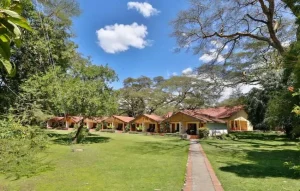Muthu Lake Naivasha Country Club, South Lake Road, Lake Naivasha, photo 4