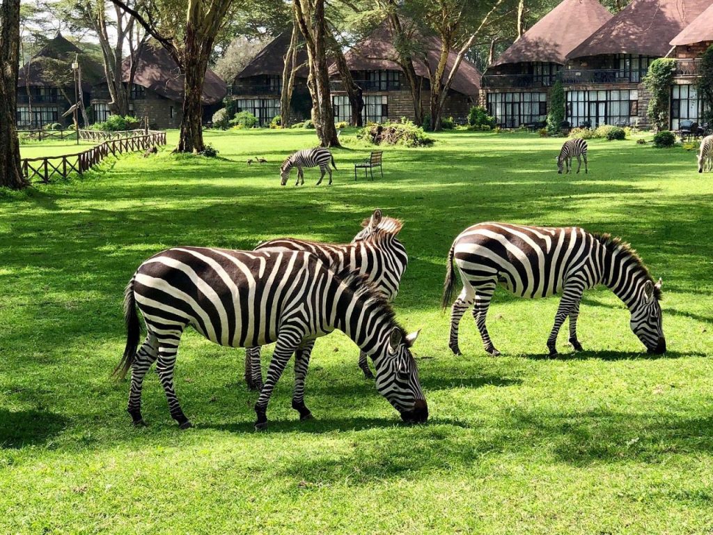 Lake Naivasha Sopa Resort