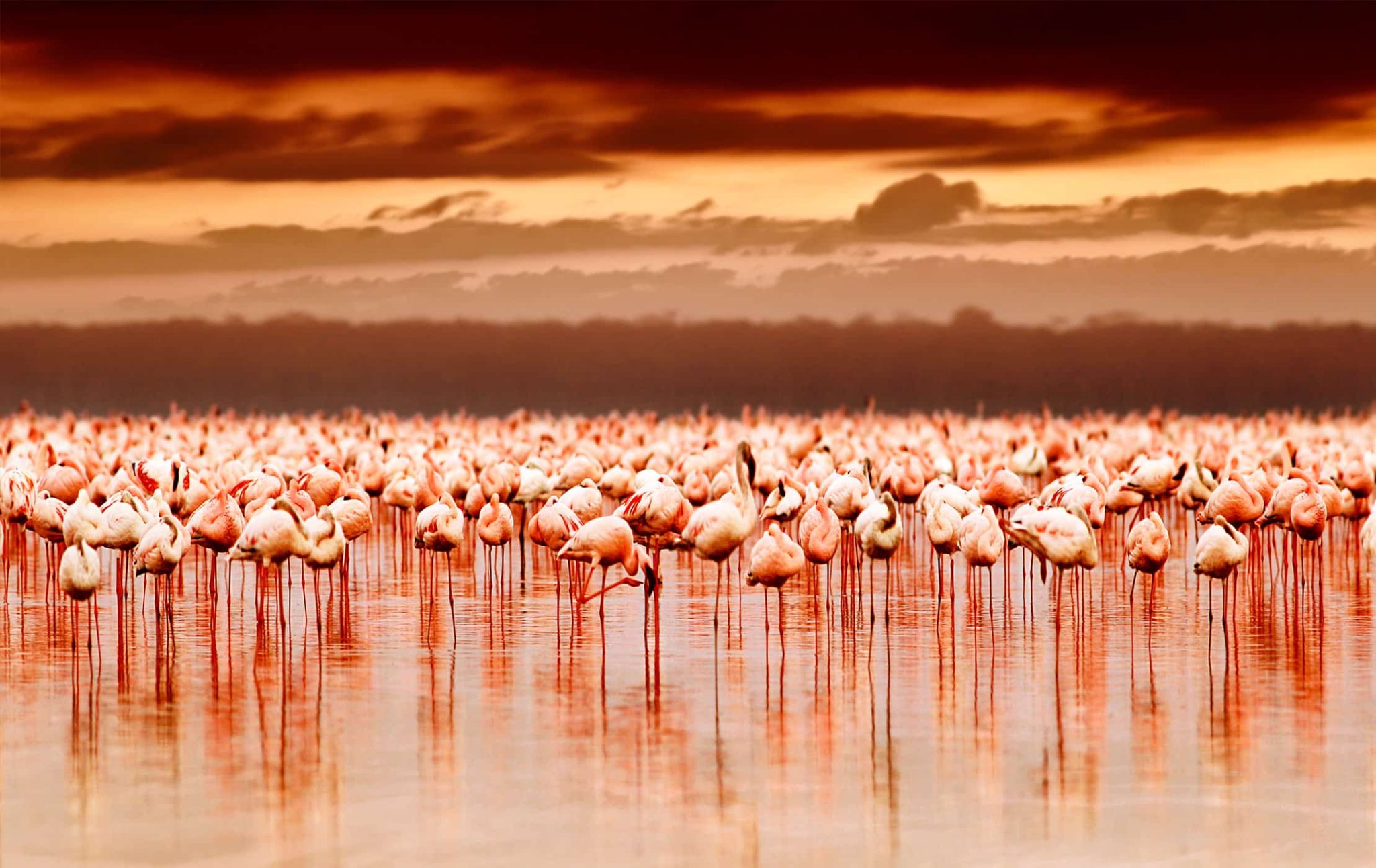7-Day Luxury Kenya Safari