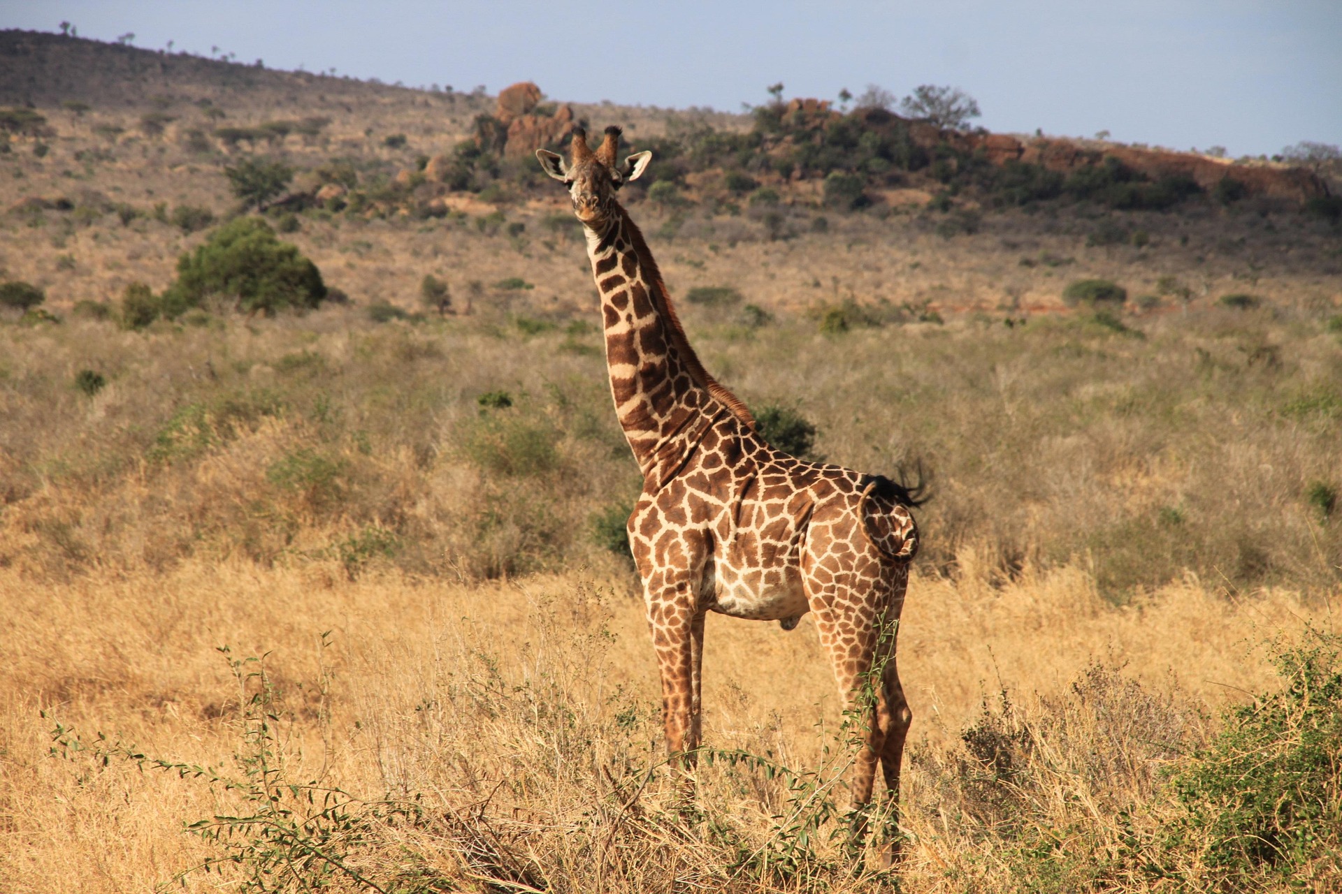 9-Day Grand Kenya Safari