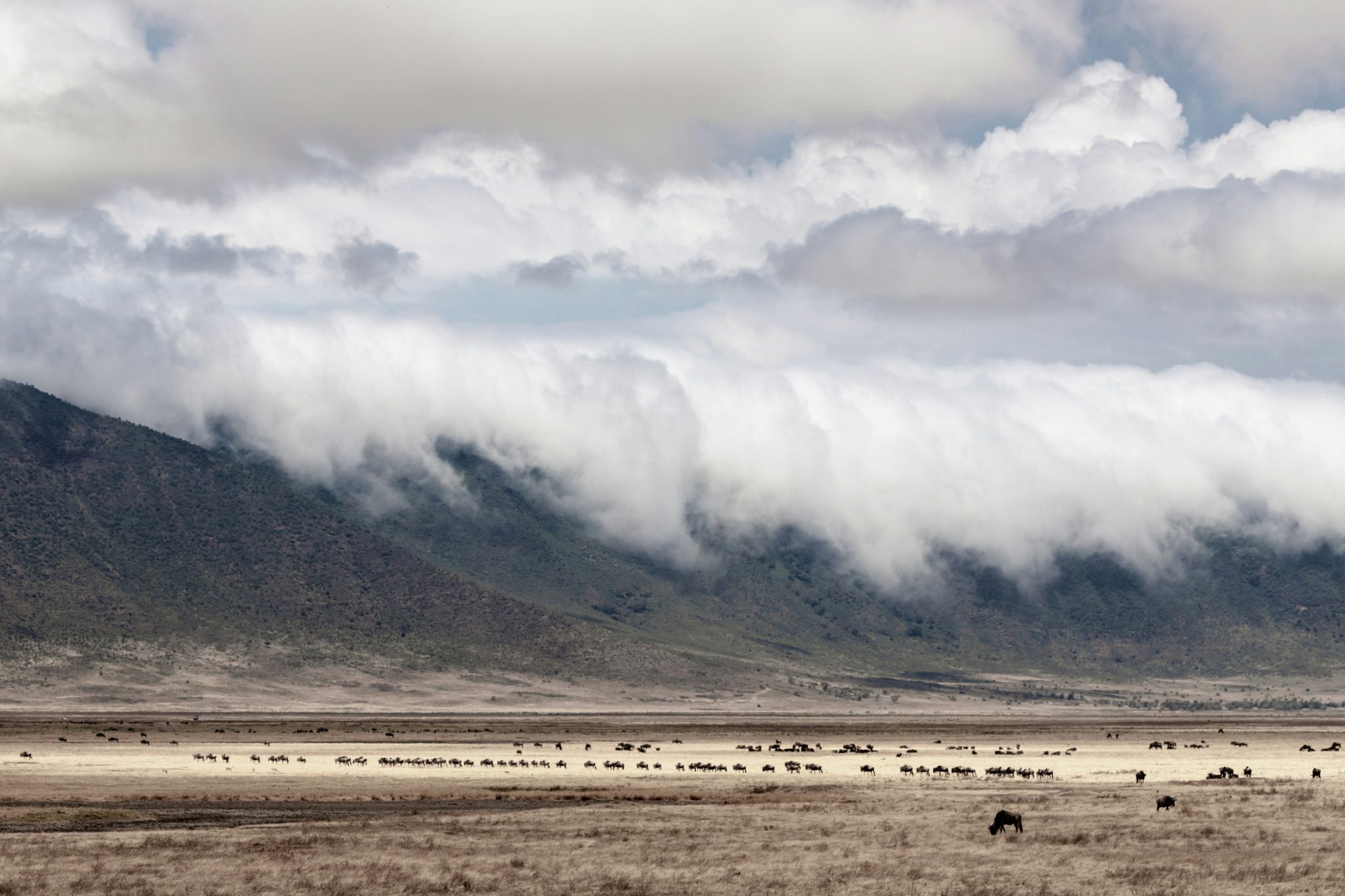 6-Day Luxury Kenya & Tanzania Fly-in Safari