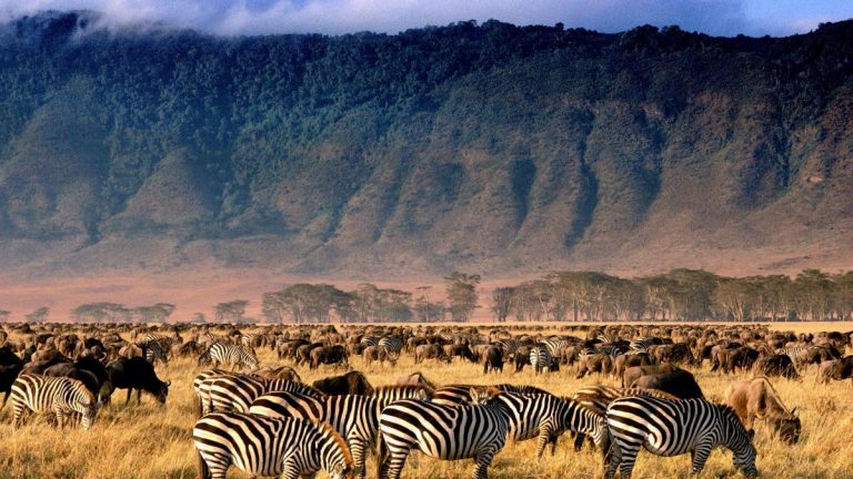 The rim of Ngorongoro Crater