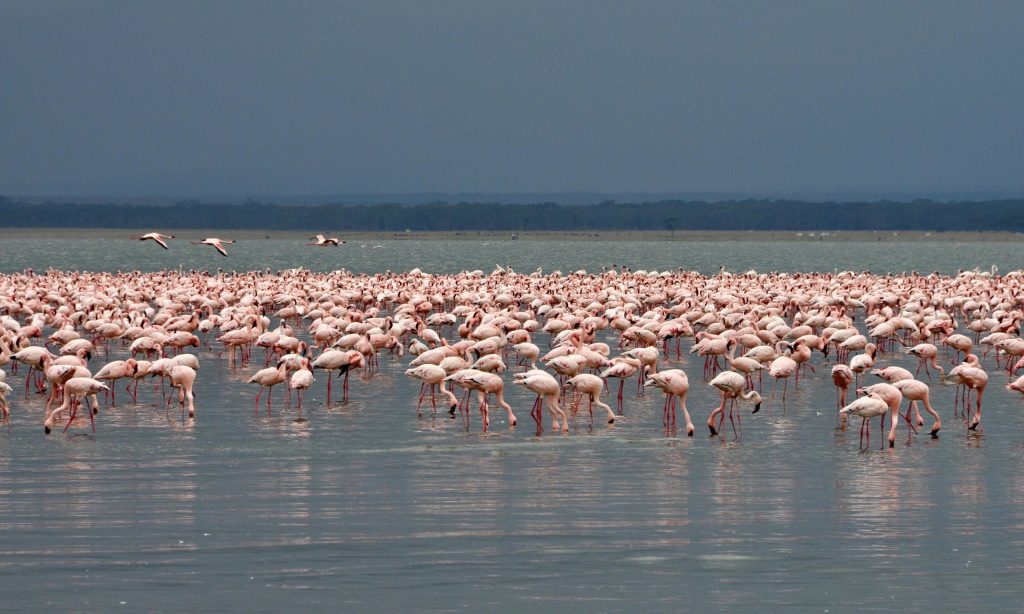 7-Day Off-the-Beaten-Path Kenya, Luxury