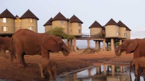 Salt Lick Safari Lodge, Tsavo West National Park, photo 4